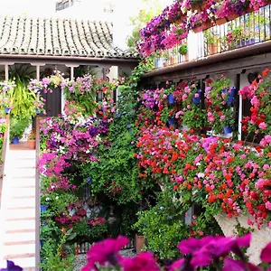 Apartamento Puerta A La Mezquita, Córdova